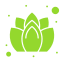 Icon representing natural health and balance for wellness articles